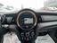 Immagine 12