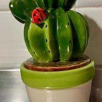 Vasetto con cactus