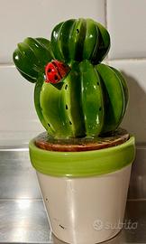 Vasetto con cactus
