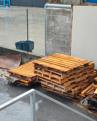 bancali 