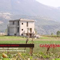 Terreno agricolo pianeggiante di 5.000 mq