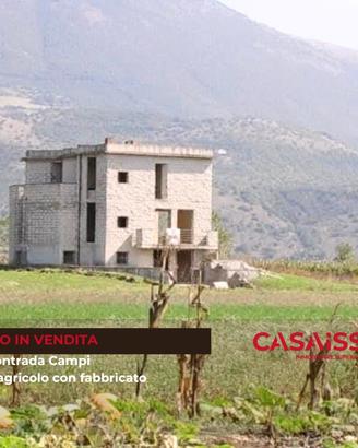 Terreno agricolo pianeggiante di 5.000 mq