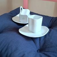 Coppia di tazzine da caffè Richard Ginori