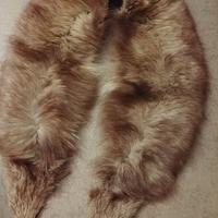 Collo di volpe a scialle