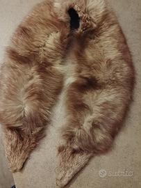 Collo di volpe a scialle