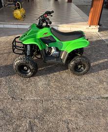 Quad 110 4t