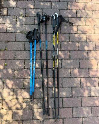 bastoncini da trekking e nordic walking