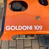 Motocoltivatore Goldoni 109 (8cv) benzina