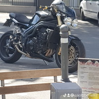 Triumph speed triple 1050