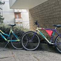 2 Bici Vintage anni '90 (Lygie e Wheeler) 