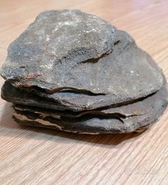 roccia per acquario o terrario 