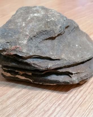 roccia per acquario o terrario 