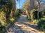 Immagine 23