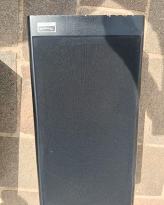 Case audio