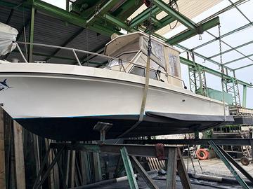 polyform barracuda c 24