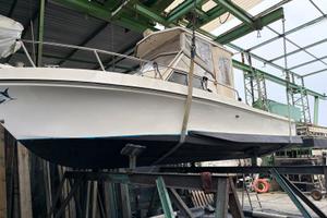 polyform barracuda c 24