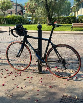 WILIER MORTIROLO-CARBONIO