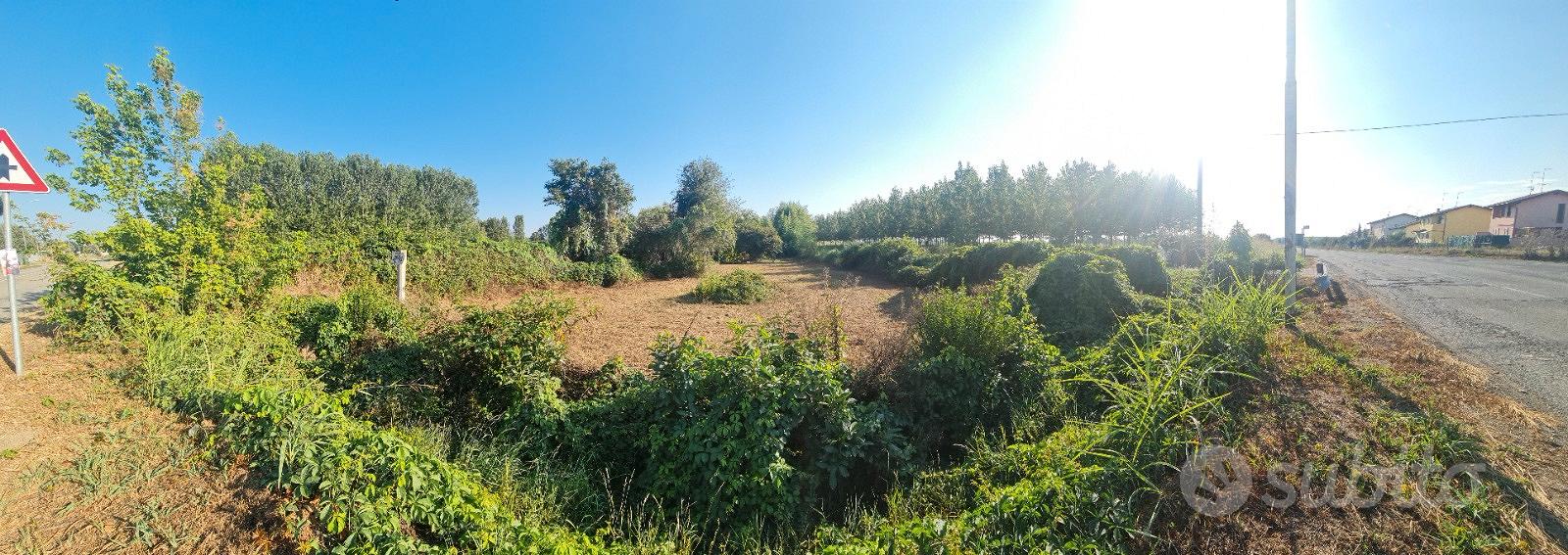 Terreno edificabile non urbanizzato - Vista 4