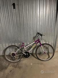 Mountain Bike Silver Fox 24"