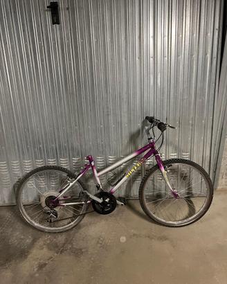 Mountain Bike Silver Fox 24"