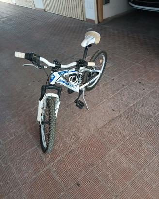 Mtb 20
