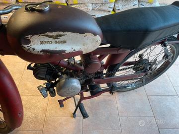 Cardellino mod lusso