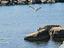 Immagine 26