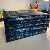 Trattato di Anatomia Anastasi