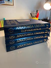 Trattato di Anatomia Anastasi