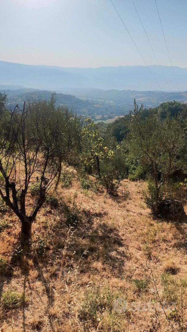 Terreno agricolo - Vista 4