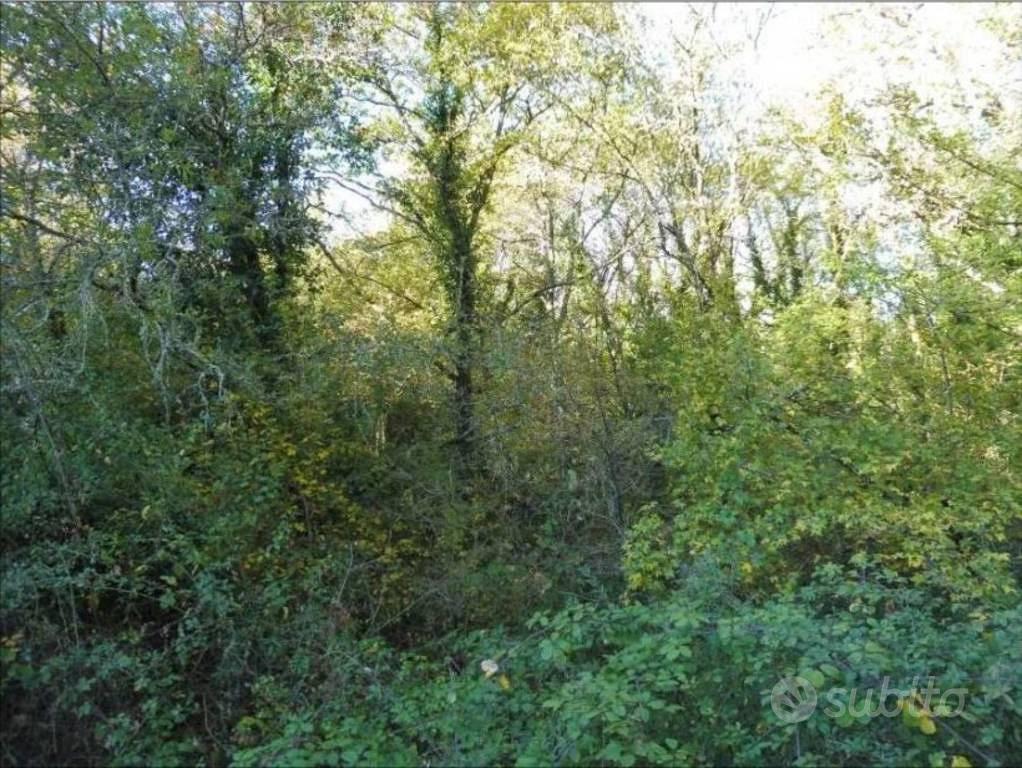 Immobile in asta di 147105 m² a Terranuova Braccio - Vista 4