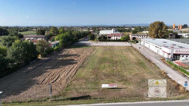 Terreno a Borgo Veneto (PD)