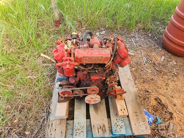 Motore entrobordo faryman