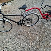 bicicletta da uomo