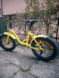 bici pieghevole 