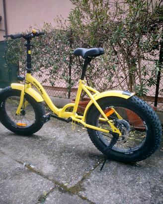 bici pieghevole 