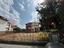 Immagine 11
