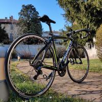 Pinarello Marvel