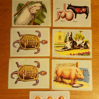 Figurine BILAMPO e LAMPO