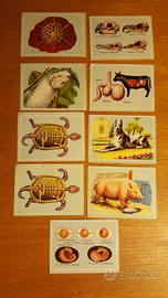 Figurine BILAMPO e LAMPO