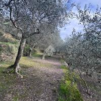 TER. AGRICOLO A CHIAVARI