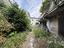 Immagine 14