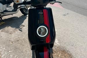 Niu ngt sport