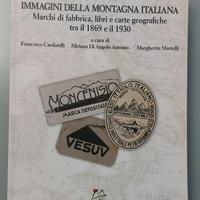 Immagini della montagna italiana.  1869 -1930
