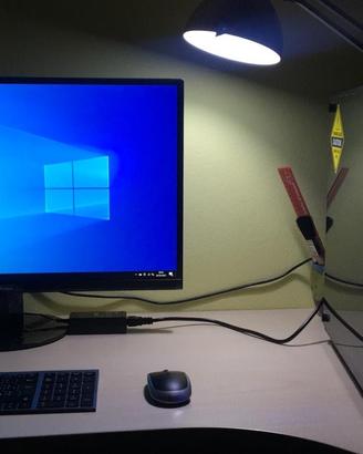 PC + Monitor