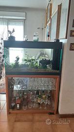 acquario