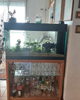 acquario
