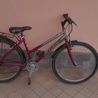 bici city bike donna