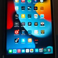 iPad mini