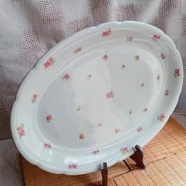 Victoria porzellan Schmidt  & Co Bohemia   '30